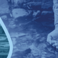 Terre et Eau Solutions devient installateur agréé SPGE (Société Public de Gestion de l&rsquo;Eau) pour les systèmes d’épuration individuelle